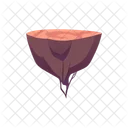 Isla Vuelo Piedra Icono