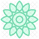 Islamic Rosette Duotone Line Icon アイコン