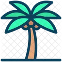 Island Beach Palm Icon