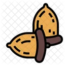 Isolated Hazelnut Nut Icon