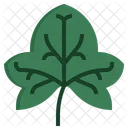 Ivy  Icon