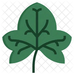 Ivy  Icon