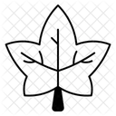 Ivy Icon