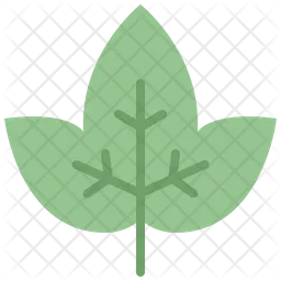 Ivy leaf  Icon