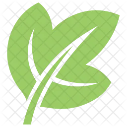 Ivy Leaf  Icon