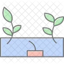 Ivy On Wall Ivy Wall Icon