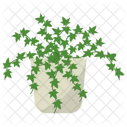 Ivy Potted Plant  Icon