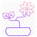 Ixora Plant  Icon