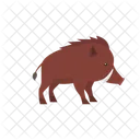 Jabali Animal Mamifero Icono