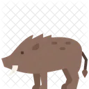 Jabali Jabali Animal Icono