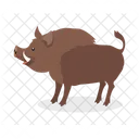 Jabali Cerdo Cerdo Icono