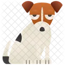 Jack  Ícone
