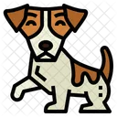 Jack Russell  Icon