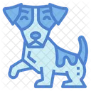 Jack Russell  Icon