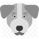 Jack Russell Terrier Perro Mascota Icono