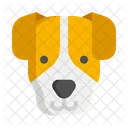 Jack Russell Terrier Pet Dog Dog Icon