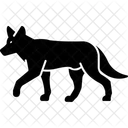 Jackal  Icône