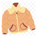 Puffer Jacket Winter Icon