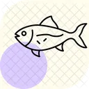 Peixe Gato Oceano Marinho Ícone