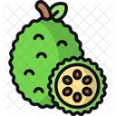 Jackfruit Exotic Fruit Tropical Fruit Icon