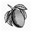 Jackfruit Icon