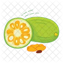 Jackfruit Fruit Fresh Icon
