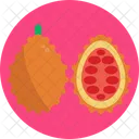 Exotic Fruits Jackfruit Summer Icon