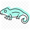 Jacksons Chameleon Offset Drift Icon