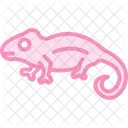 Jacksonschameleon Reptile Scaly Icon