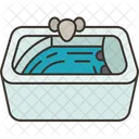 Jacuzzi Bubbles Water Icon