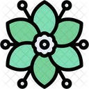 Jade  Icon