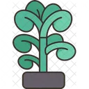 Jade Plant Succulent Icon
