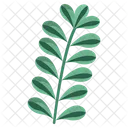 Jade Leaf  Icon