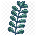 Jade Leaf  Icon