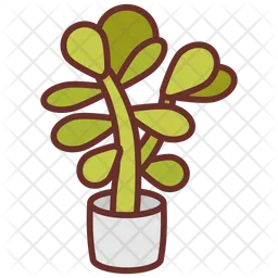 Jade plant  Icon