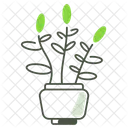 Jade Plant Houseplant Plant Icon