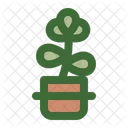 Jade Plant  Icon