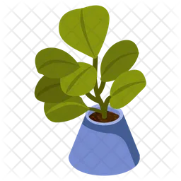 Jade Plant  Icon