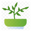Jade Plant Icon
