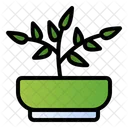 Jade Plant Plant Potted Plant Icon