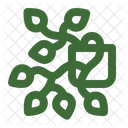 Goldon Pothos Pothos Houseplant Icon
