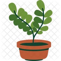 Jade Plant  Icon