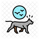 Jagd nach Hund  Symbol