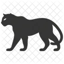 Jaguar Big Cat Spots Icon