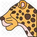 Jaguar  Icon