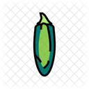 Jalapeno Pepper  Icône