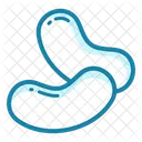 Gelatina  Icono