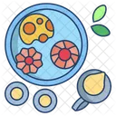 Jam Flower Biscuit  Icon