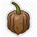 Chili Spicy Hot Icon