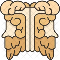 Janus  Icon